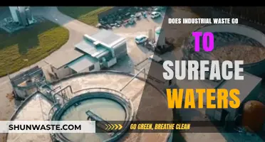 Industrial Waste and Surface Waters: Environmental Impact and Solutions