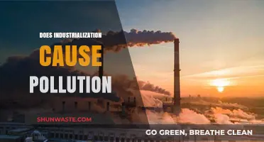 Industrialization's Impact: Unveiling the Pollution Conundrum