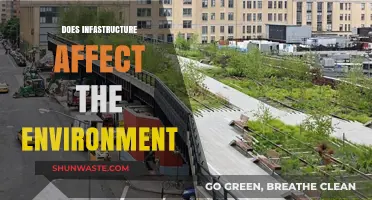 Infrastructure's Environmental Impact: Balancing Development and Sustainability