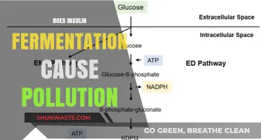 Insulin Fermentation: A Green Process or a Hidden Environmental Threat?