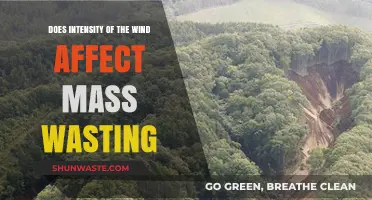 Wind Intensity's Role in Triggering and Accelerating Mass Wasting