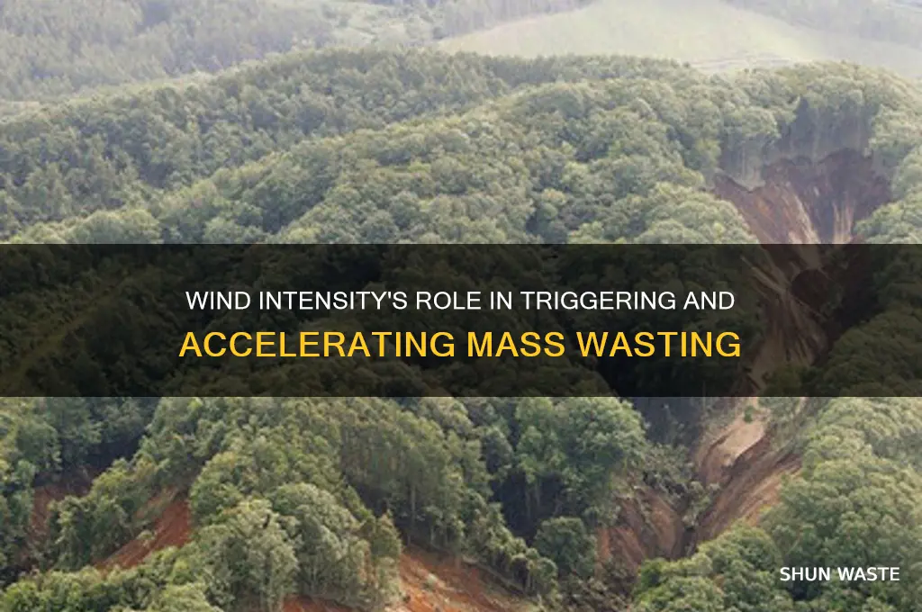 does intensity of the wind affect mass wasting