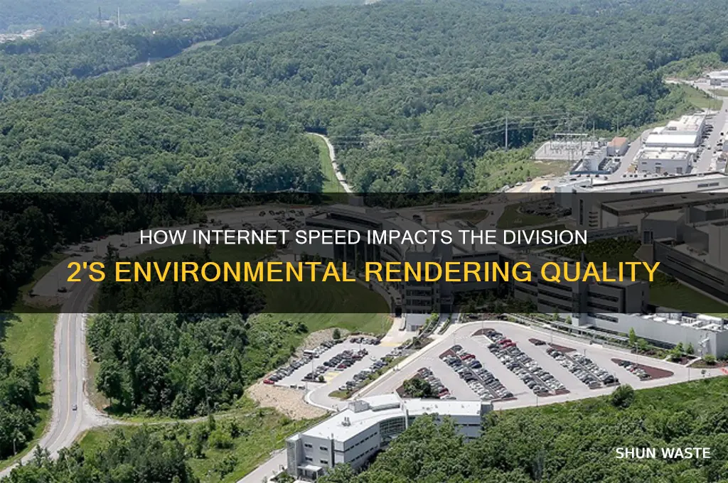 does internet affect division 2 environment rendering