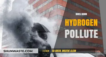 Liquid Hydrogen: Clean Energy or Polluting Hazard?