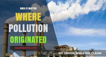 Pollution's Origin: Does Source Affect Impact?