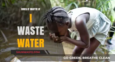 Wasting Water: A Drop in the Bucket or a Global Crisis?