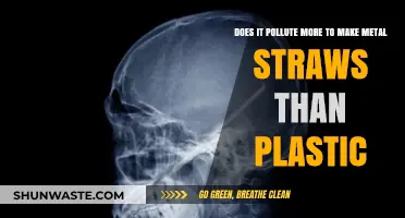 Metal Straws: Environmentally Friendly or Faux Greenery?