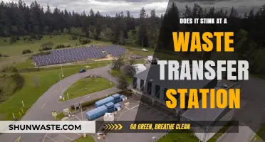 Does a Waste Transfer Station Smell Bad? The Truth Revealed