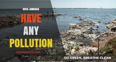 Jamaica's Pollution Problem: An Environmental Concern