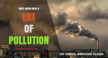 Japan's Pollution Problem: A Comprehensive Overview