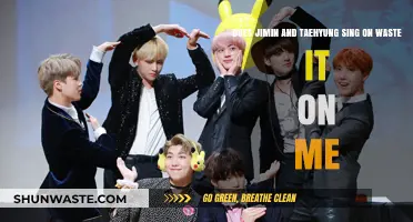 Waste It On Me: Jimin and Taehyung's Vocal Contributions Explored