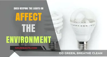 Keeping Lights On: Environmental Impact and Sustainable Energy Solutions