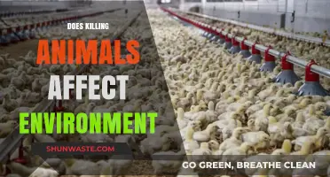 Killing Animals: Environmental Impact and Ecosystem Consequences Explored