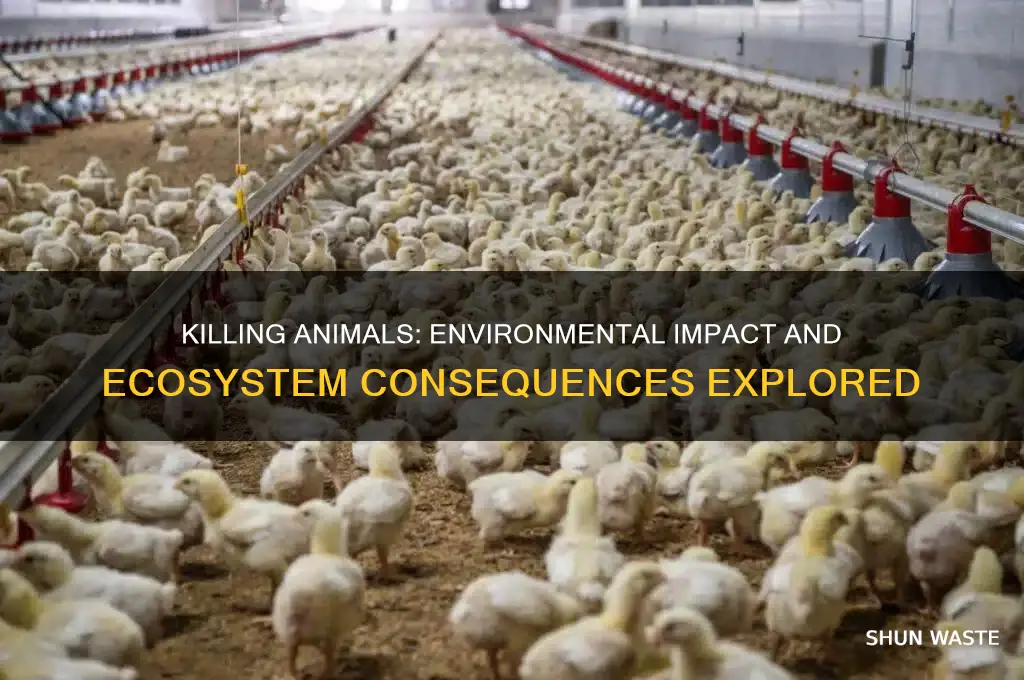 does killing animals affect environment