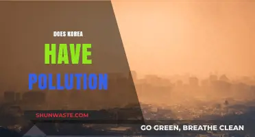 South Korea's Pollution Problem: A Growing Concern?