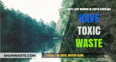 Toxic Waste in Lake Marion: Uncovering South Carolina's Environmental Concerns