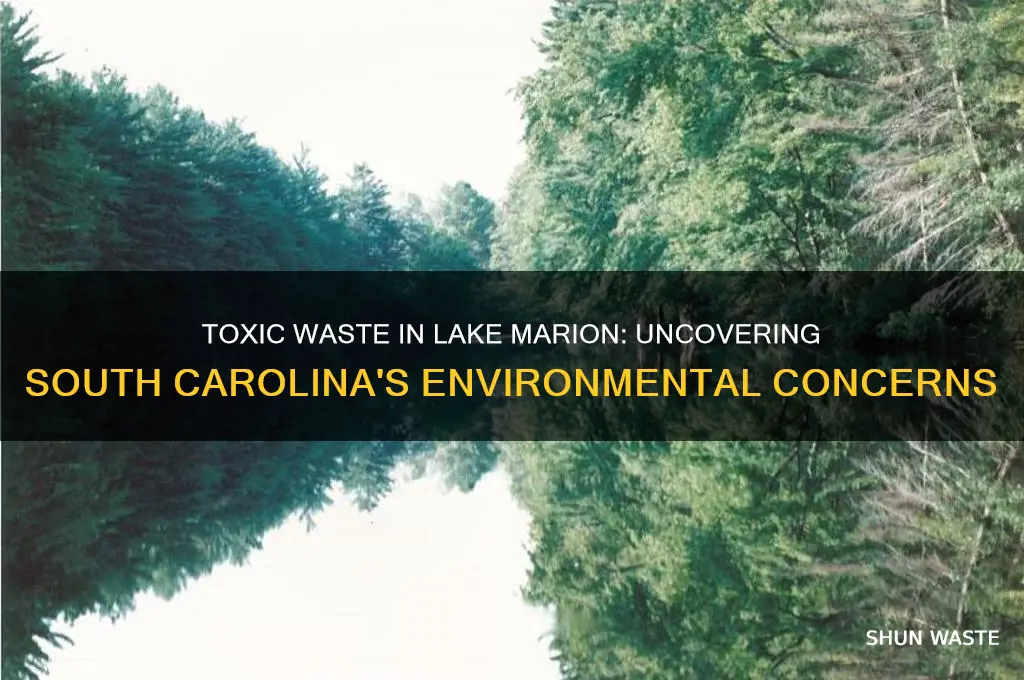 does lake marion in south carolina have toxic waste