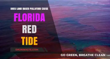 Land-Based Runoff: A Key Player in Florida's Red Tide Crisis?