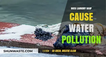 Laundry Detergent's Impact: A Deep Dive into Water Pollution