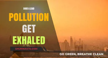 How Exhaled Air Contributes to Lead Pollution