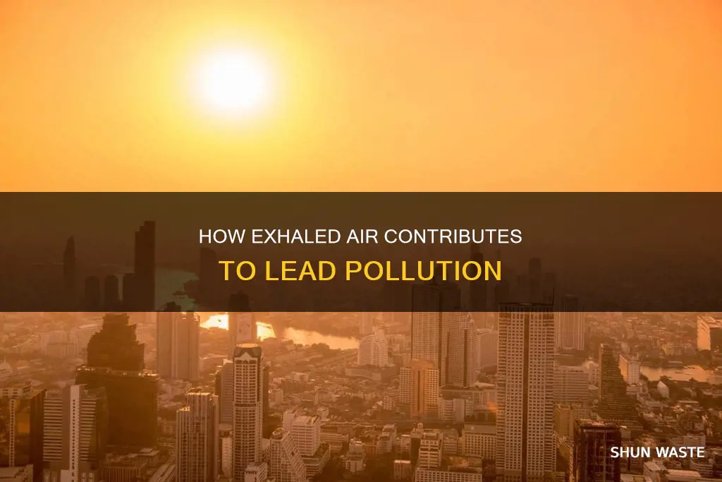 does lead pollution get exhaled