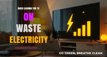 TV On or Off: Uncovering Electricity Waste and Savings