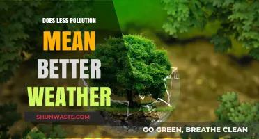 Pollution's Impact: Weather's Future