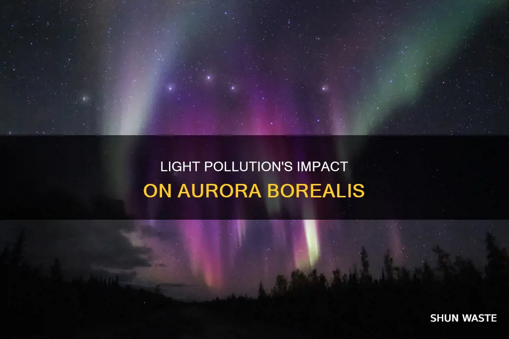 does light pollution affect aurora borealis