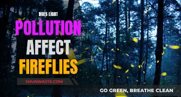 Light Pollution's Impact on Fireflies: A Complex Concern