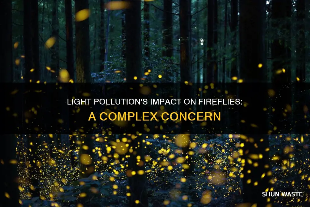 does light pollution affect fireflies