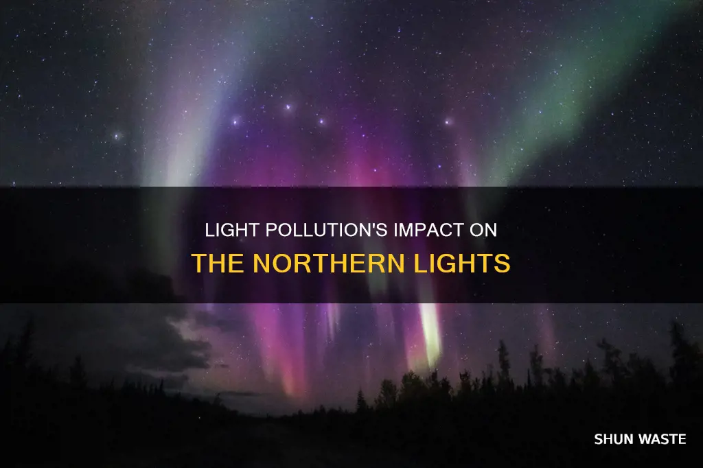 does light pollution affect northern lights