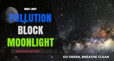 Moonlight Fades: Light Pollution's Dark Shadow