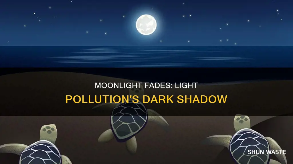 does light pollution block moonlight