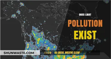 Light Pollution: Is It a Real Threat?