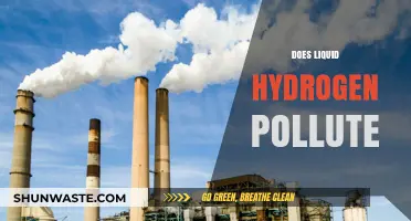 Liquid Hydrogen: Clean or Polluting Energy Source?