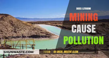 The Environmental Impact: Lithium Mining's Pollution Dilemma