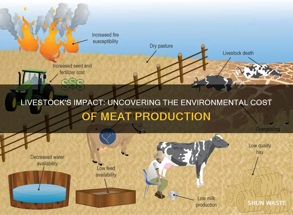 does livestock cause pollution