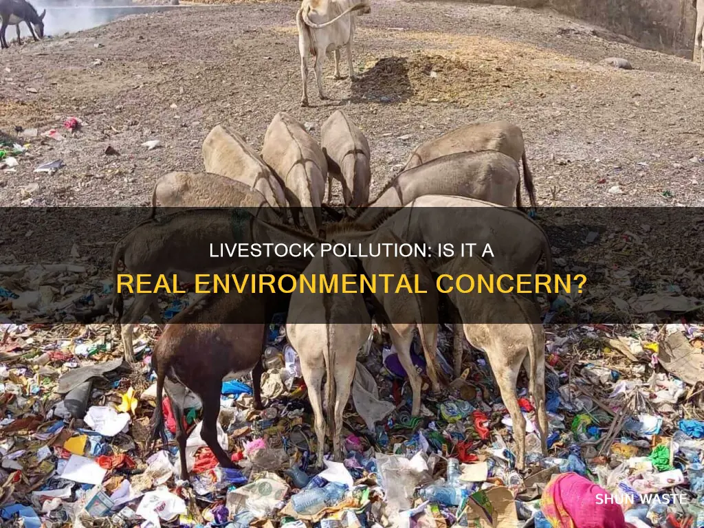 does livestock cause pollution