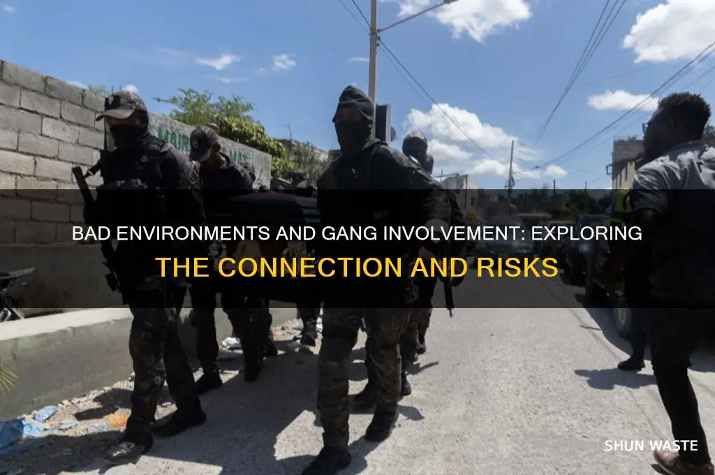 does living in bad environment higher chance of joining gang
