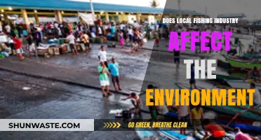 Local Fishing's Environmental Impact: Sustainability Challenges and Solutions Explored