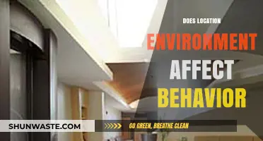 How Your Surroundings Shape Behavior: The Impact of Location and Environment