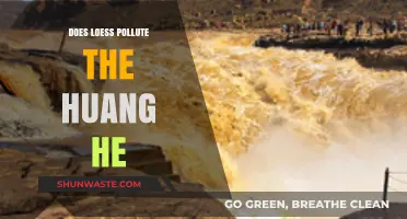 Loess and the Huang He: A Pollution Story