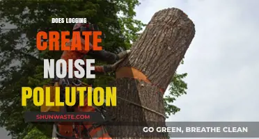 Logging and Noise Pollution: A Disturbing Reality