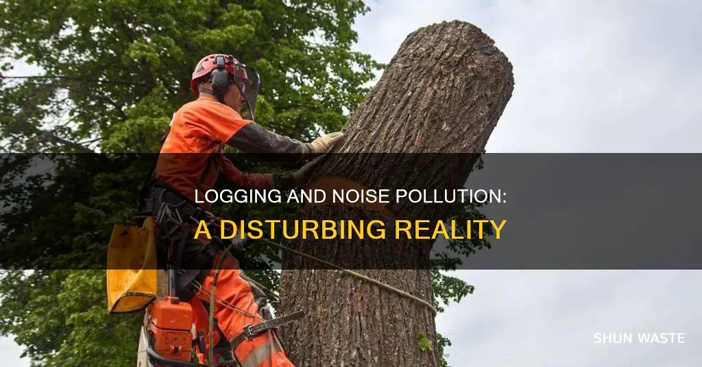 does logging create noise pollution
