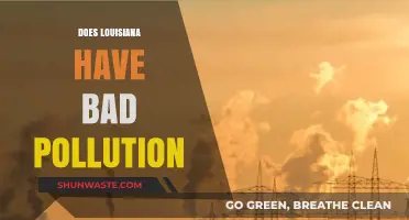 Louisiana's Pollution Problem: How Bad Is It?