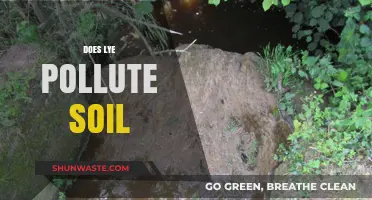 Lye and Soil: A Toxic Mix?