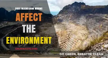Environmental Impact of Magnesium Mining: Concerns and Sustainability Challenges
