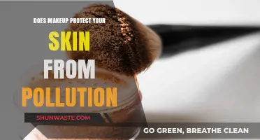 Makeup's Skin-Protecting Powers: Pollution Protection or Myth?