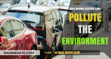 Electric Cars: Green or Polluting?