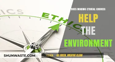 Ethical Choices: A Powerful Tool for Environmental Sustainability?